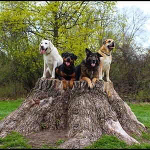 Meet your Posher, Joseph